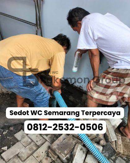 Mengetahui Waktu yang Tepat untuk Sedot WC